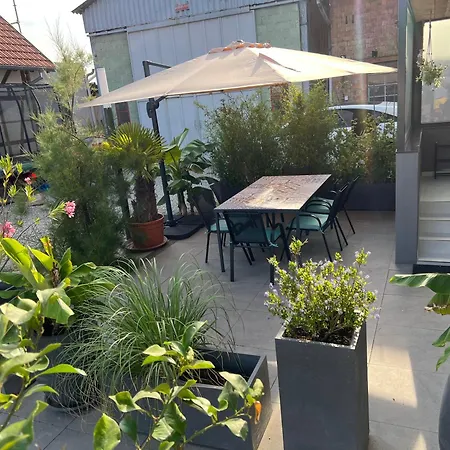 Mon Petit Chez Soi En Alsace * Rountzenheim-Auenheim